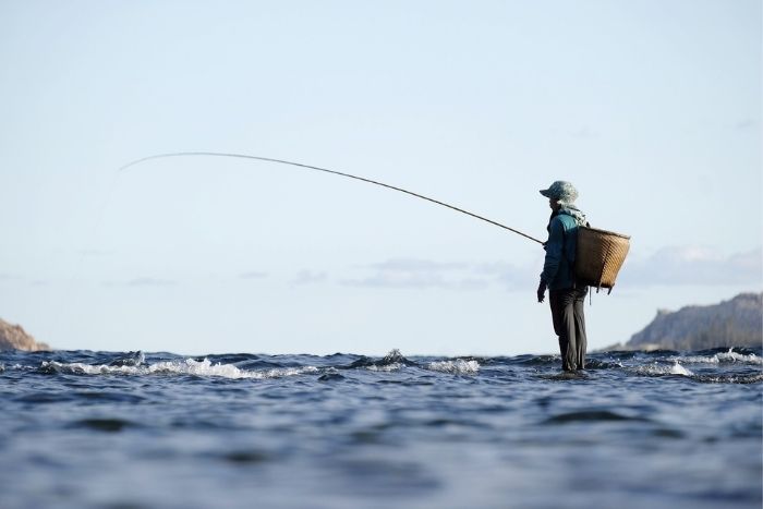 Al Dhafra Grand Kingfish Championships