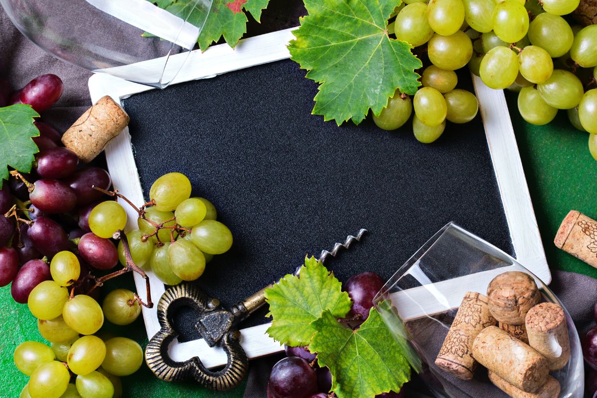 Grape tasting at Hawksbill Restaurant