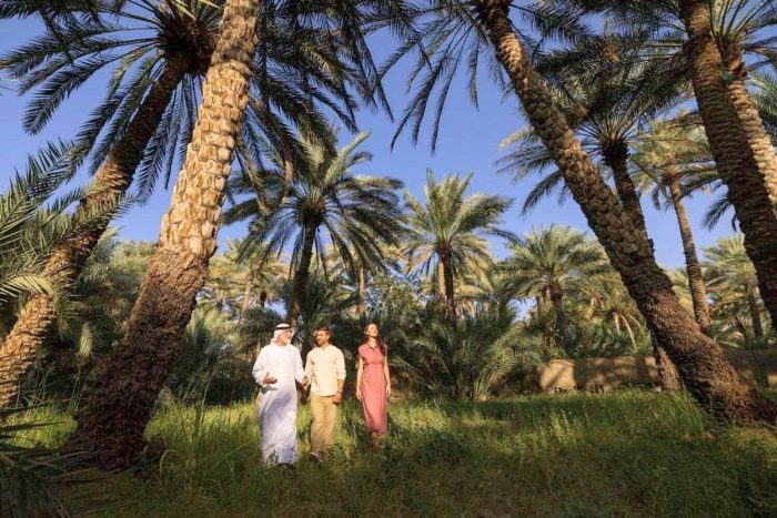 Al Ain Oasis
