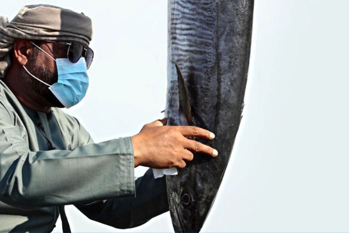 Al Dhafra Grand Kingfish Championship 2023